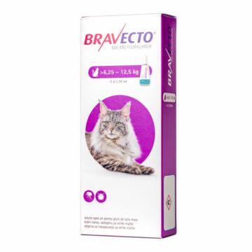 Bravecto Spot On Pisica 6.25 - 12.5 kg, 500 mg, 1 pipeta la reducere