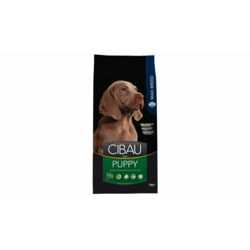 Cibau Puppy Maxi 12 kg