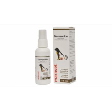 Dermanolon spray, 75 ml