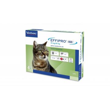 Effipro Duo Cat, 4 pipete