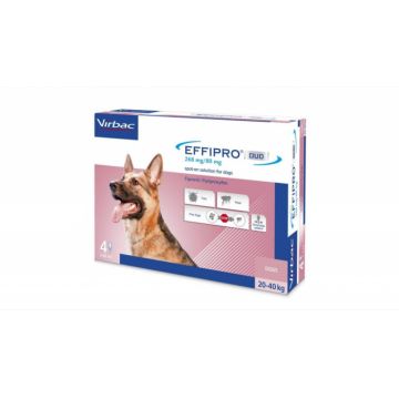 Effipro Duo Dog L 268 mg (20 - 40 kg), 4 pipete