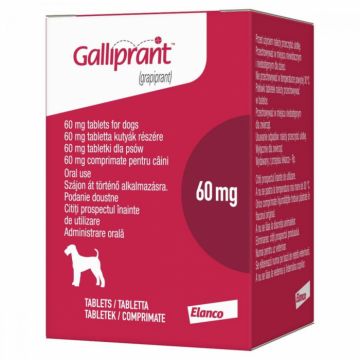 Galliprant 60mg x 30 tab de firma originala