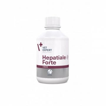 Hepatiale Forte Liquid, 250 ml de firma original