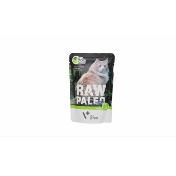 Hrana umeda, RAW PALEO CAT, adult, carne de vanat, 100 g la reducere