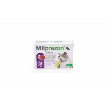 Milprazon Cat 16 40 mg (2 - 8 kg), 1 tableta