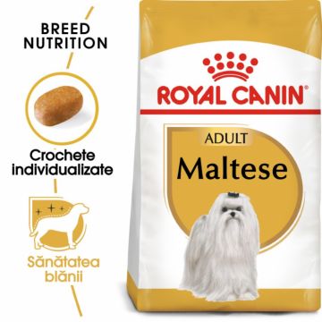 Royal Canin Bichon Maltese Adult, 500 g ieftina