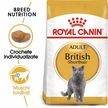 Royal Canin British Shorthair Adult, 2 kg la reducere