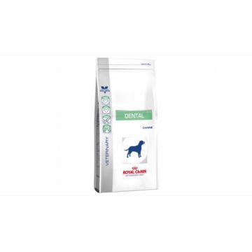 Royal Canin Dental Dog Dry 6 Kg