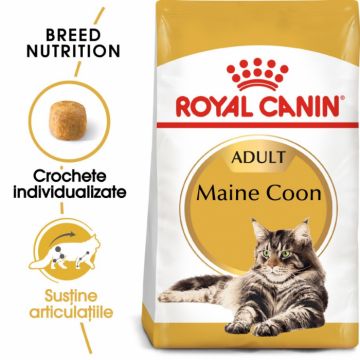 Royal Canin Maine Coon Adult, 10 kg ieftina