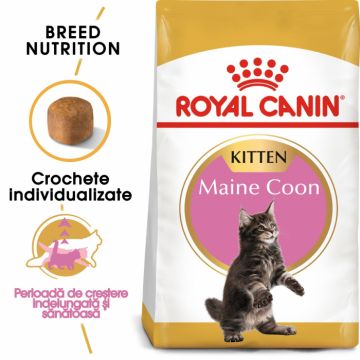 Royal Canin Maine Coon Kitten, 10 kg la reducere