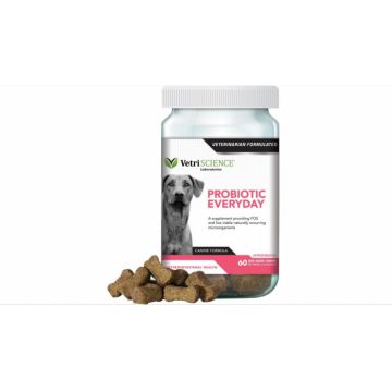 Vetri Probiotic Everyday Bite-sized Chews Dog, 60 tablete de firma original