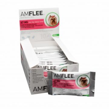 AMFLEE 67 mg solutie spot-on pentru caini 2-10 kg - 1 pipeta la reducere