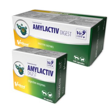 Amylactiv Digest, 120 capsule la reducere