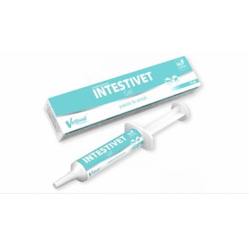 INTESTIVET Gel, 15 ml ieftin