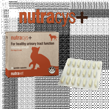 Nutravet Nutracys+ (Nutraease) 20 cps - caini si pisici