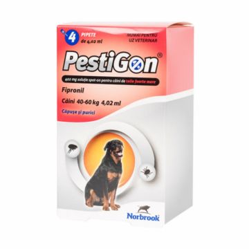 PestiGon Dog XL spot on (40-60 kg) fipronil x 4 pipete la reducere