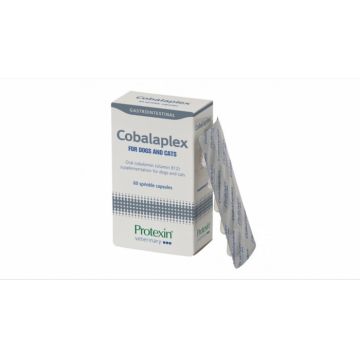 Protexin Cobalaplex pentru caini si pisici, 60 capsule de firma original