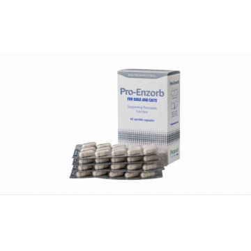 Protexin Pro-Enzorb pentru caini si pisici, 60 capsule de firma original