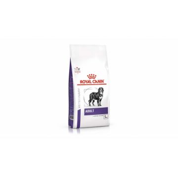 Royal Canin Adult Large Dog Dry - 13 kg la reducere