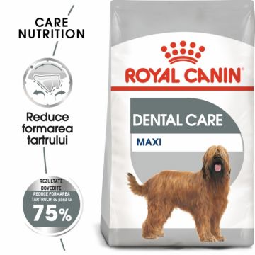 Royal Canin Maxi Dental Care Adult, hrana uscata caini, pentru dinti sanatosi, 3kg delistat la reducere