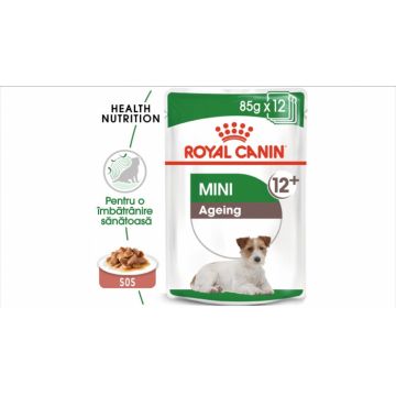 Royal Canin Mini Ageing 12+ hrana umeda caine senior (in sos), 1 x 85 g ieftina