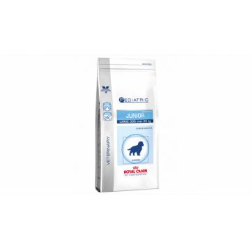 Royal Canin Pediatric Junior Large Dog, 14 kg ieftina