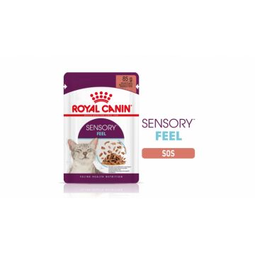 Royal Canin Sensory Feel, hrana umeda pisica pentru stimularea simtului tactil (in sos), 1 x 85 g