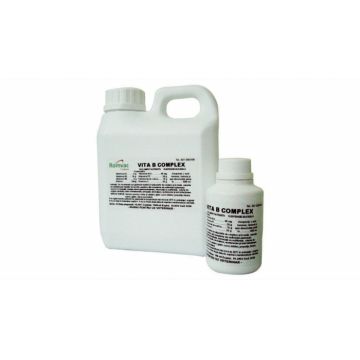 VITA B COMPLEX 1000 ml