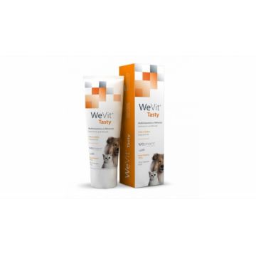 WEVIT TASTY 100 GR