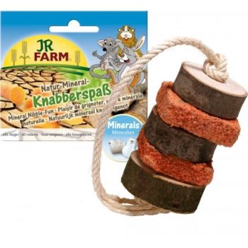 Bloc mineral pentru rozatoare Jr Farm 250 g