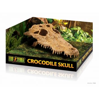 ​Decor pentru terariu Exo Terra Crocodile Skull 23x12x7.5cm