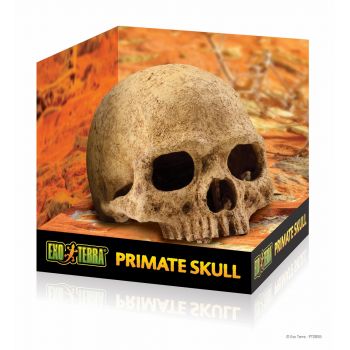 Decor pentru terariu Exo Terra Primate Skull 14.2x16.2x16.2cm