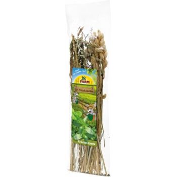 Mix de ierburi pentru rozatoare Jr Farm Snack 80 g