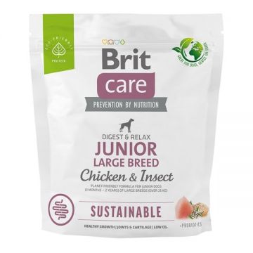Brit Care Dog Sustainable Junior Large Breed, 1 kg ieftina