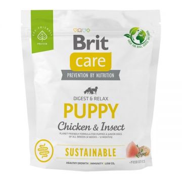 Brit Care Dog Sustainable Puppy, 1 kg