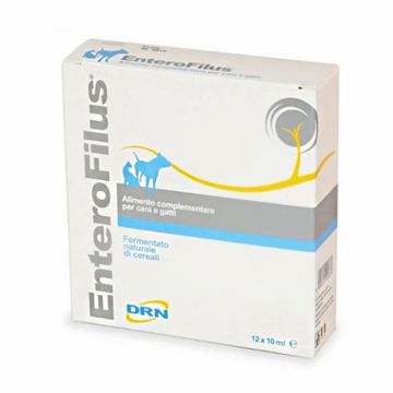 Enterofilus, supliment, 12 fiole x 10 ml solutie buvabila de firma original