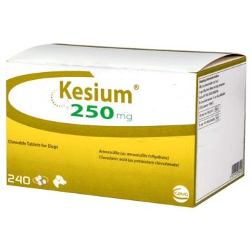 KESIUM 250 MG (Amoxy + Acid Clavulanic) - 8 Tablete masticabile ieftina