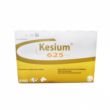 Kesium 625 mg, 6 comprimate masticabile
