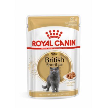 Royal Canin British Shorthair Adult hrana umeda pisica (in sos), 12 x 85 g la reducere