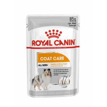 Royal Canin Coat Care Adult hrana umeda caine, blana sanatoasa si lucioasa (loaf), 12 x 85 g la reducere