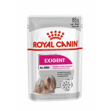 Royal Canin Exigent Adult hrana umeda caine, apetit capricios (Loaf), 85 g