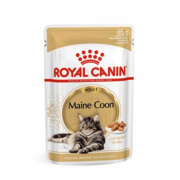 Royal Canin Maine Coon Adult hrana umeda pisica (in sos), 12 x 85 g la reducere