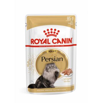 Royal Canin Persian Adult hrana umeda pisica (pate), 1 x 85 g ieftina