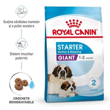 Royal Canin Giant Starter Mother & Babydog, mama si puiul, hrana uscata caine, 15 kg ieftina
