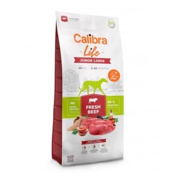 CALIBRA Life Junior Large, L-XL, Vită, hrană uscată monoproteică câini junior, 12kg