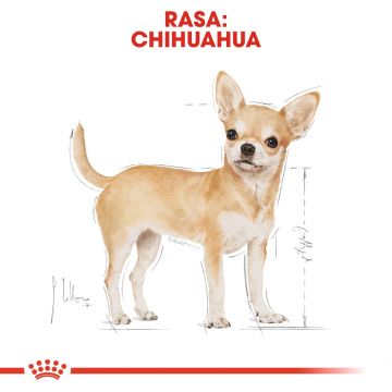 Hrana Umeda Caini, ROYAL CANIN, Chihuahua Adult, 85g