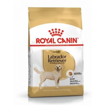 Hrana Uscata Caini, ROYAL CANIN, Labrador Retriever Adult, 12kg