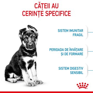 Hrana Uscata Caini, ROYAL CANIN, Maxi Puppy, Junior, 15kg