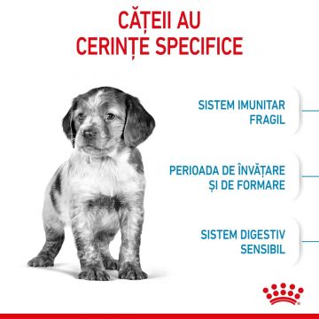 Hrana Uscata Caini, ROYAL CANIN, Medium Puppy, Junior, 15kg