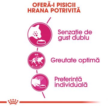 Hrana Uscata Pisici, ROYAL CANIN, Exigent Savour, Adult, 10kg